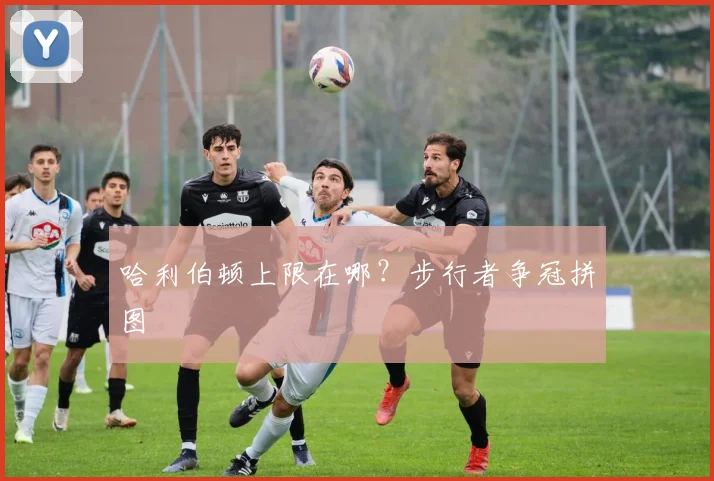 哈利伯顿上限在哪？步行者争冠拼图