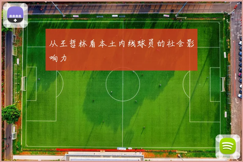 从王哲林看本土内线球员的社会影响力