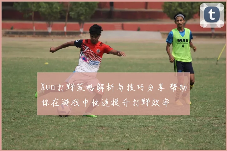 Xun打野策略解析与技巧分享 帮助你在游戏中快速提升打野效率