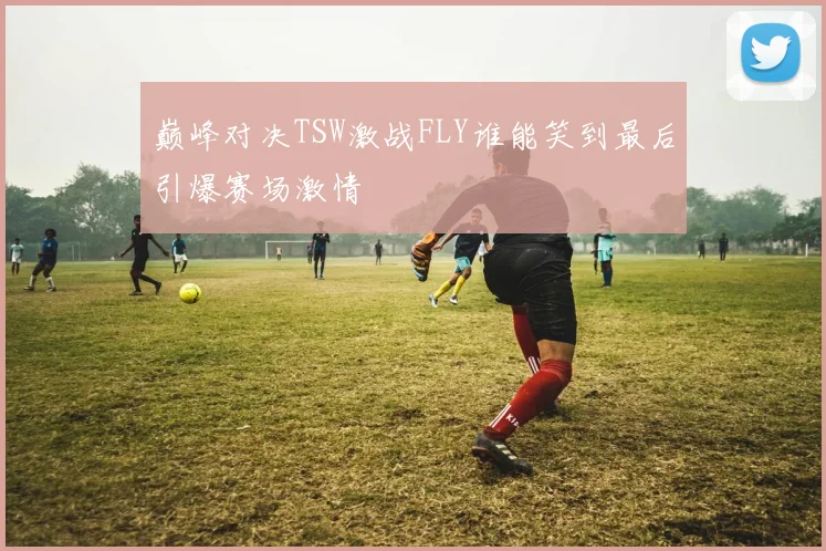 巅峰对决TSW激战FLY谁能笑到最后引爆赛场激情