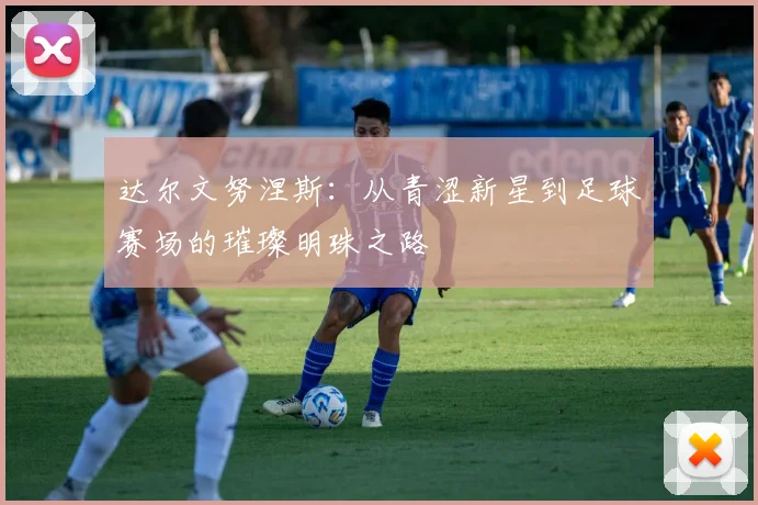 达尔文努涅斯：从青涩新星到足球赛场的璀璨明珠之路